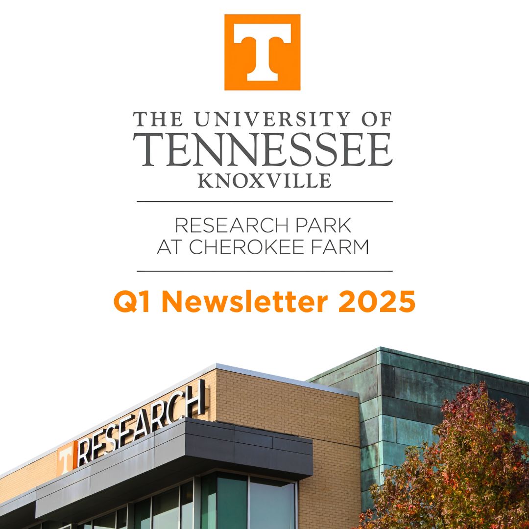 Graphic for Q1 Newsletter 2025